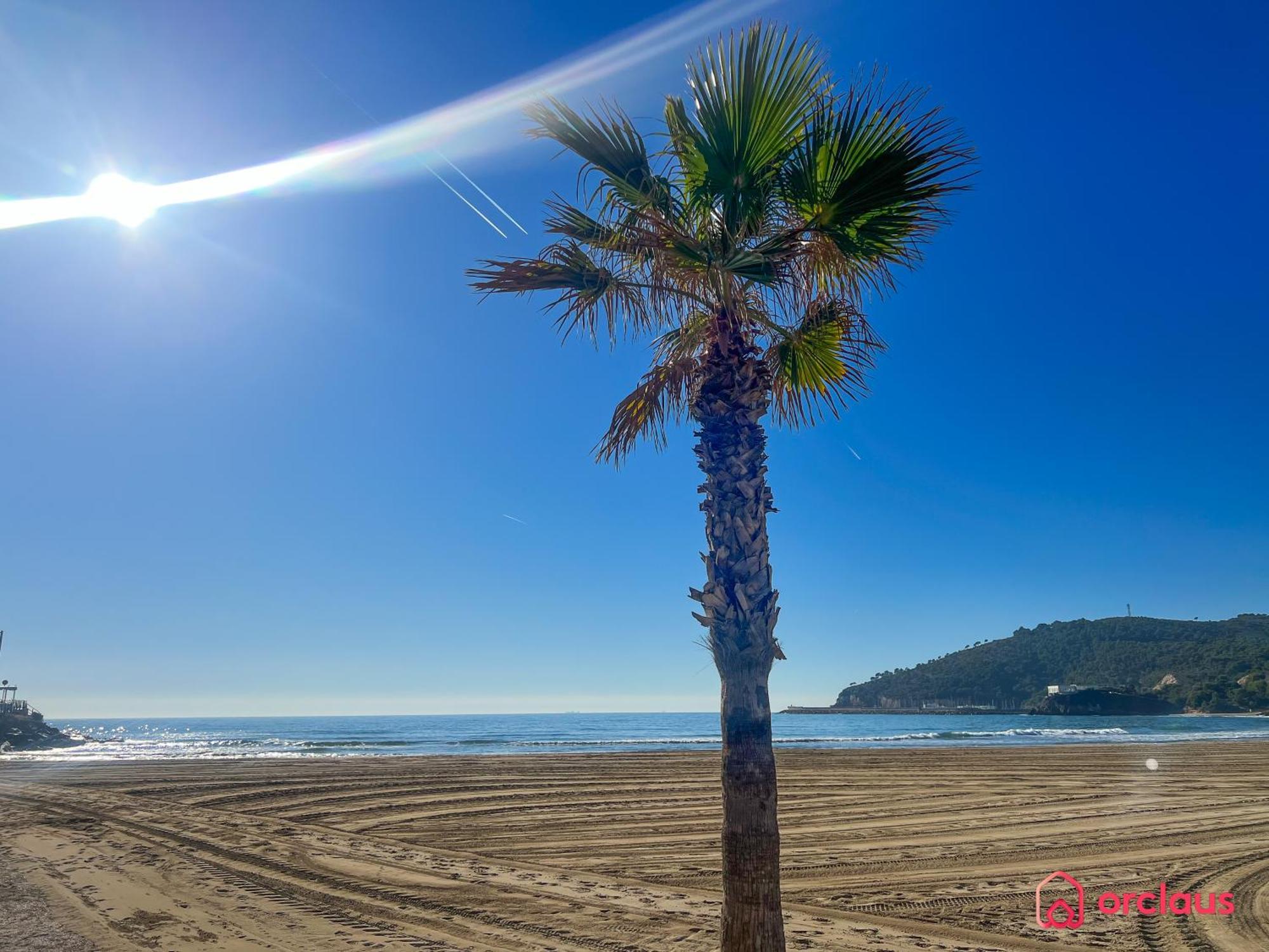Appartement Cala Concha à Oropesa del Mar Extérieur photo
